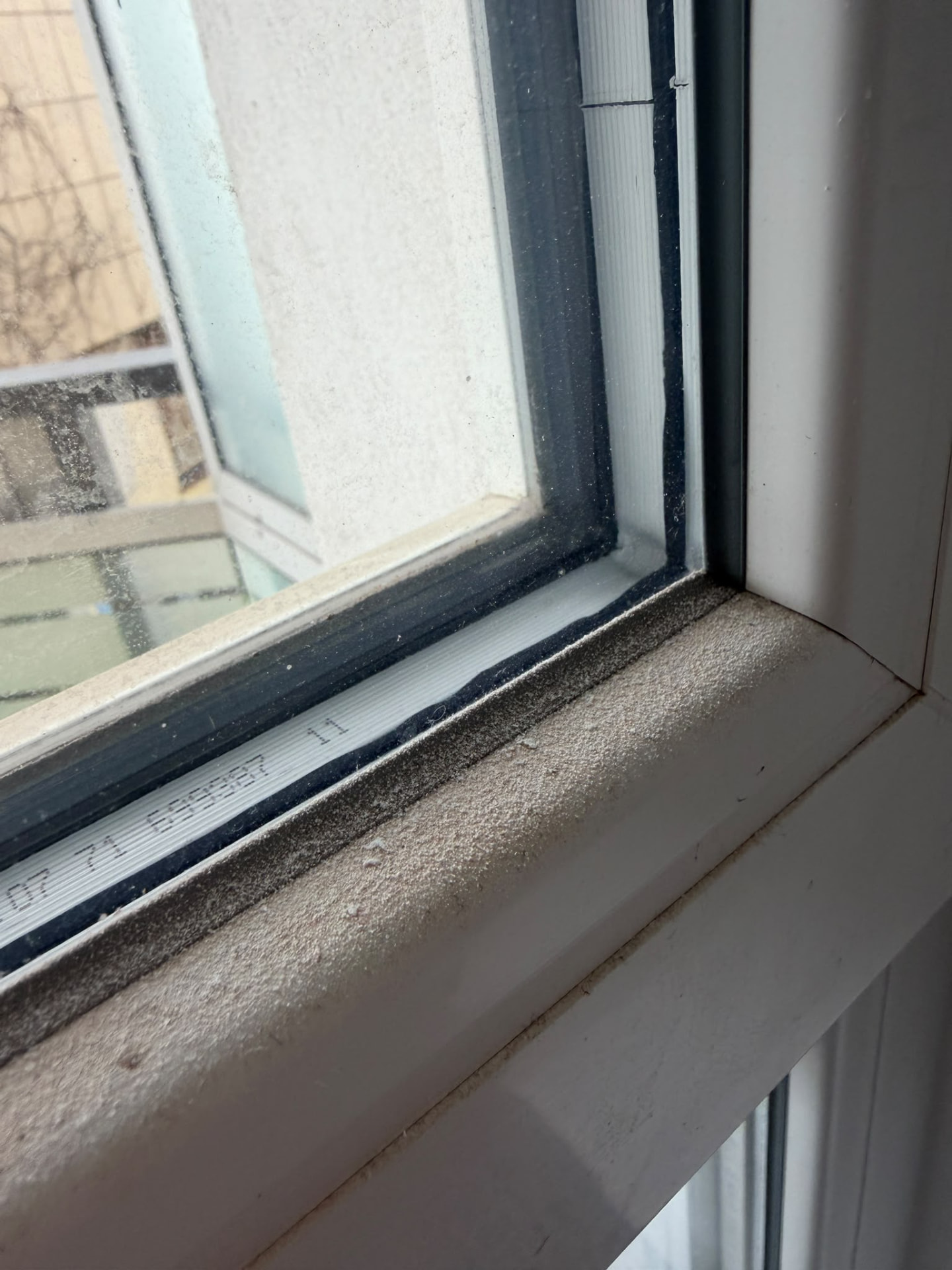 Fensterrahmen – streifenfrei gepflegt – vorher